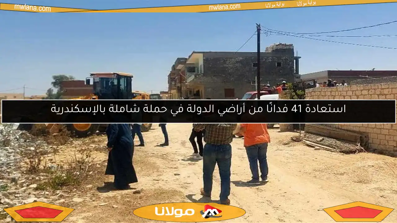 استعادة 41 فدانًا من أراضي الدولة في حملة شاملة بالإسكندرية
