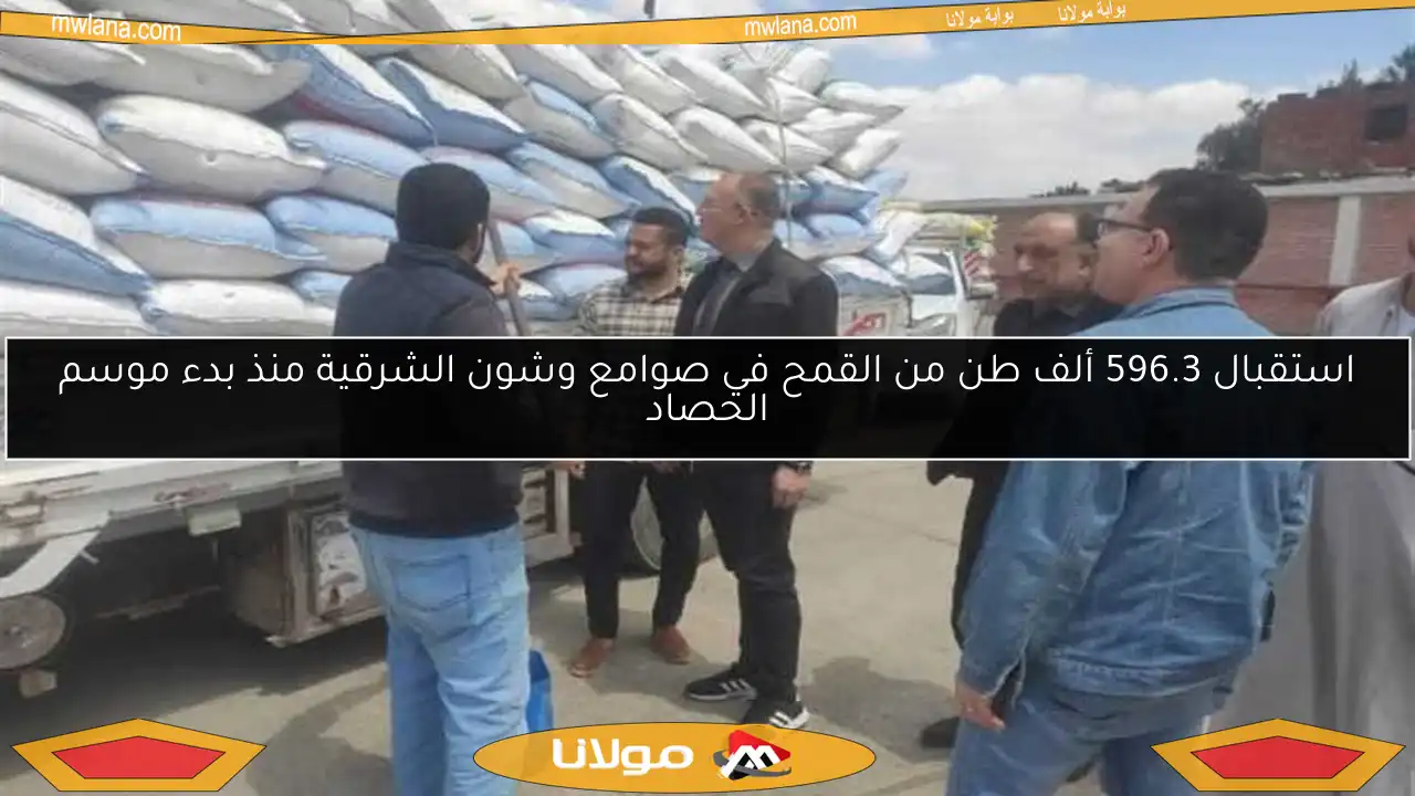 استقبال 596.3 ألف طن من القمح في صوامع وشون الشرقية منذ بدء موسم الحصاد