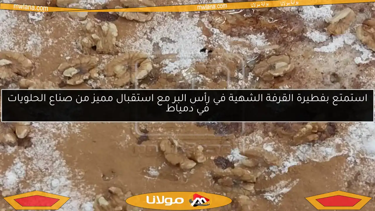 استمتع بفطيرة القرفة الشهية في رأس البر مع استقبال مميز من صناع الحلويات في دمياط