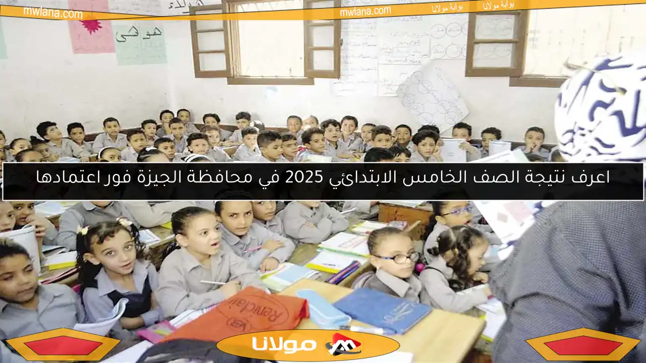 اعرف نتيجة الصف الخامس الابتدائي 2025 في محافظة الجيزة فور اعتمادها