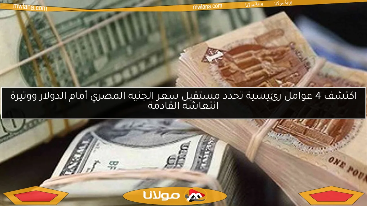 اكتشف 4 عوامل رئيسية تحدد مستقبل سعر الجنيه المصري أمام الدولار ووتيرة انتعاشه القادمة