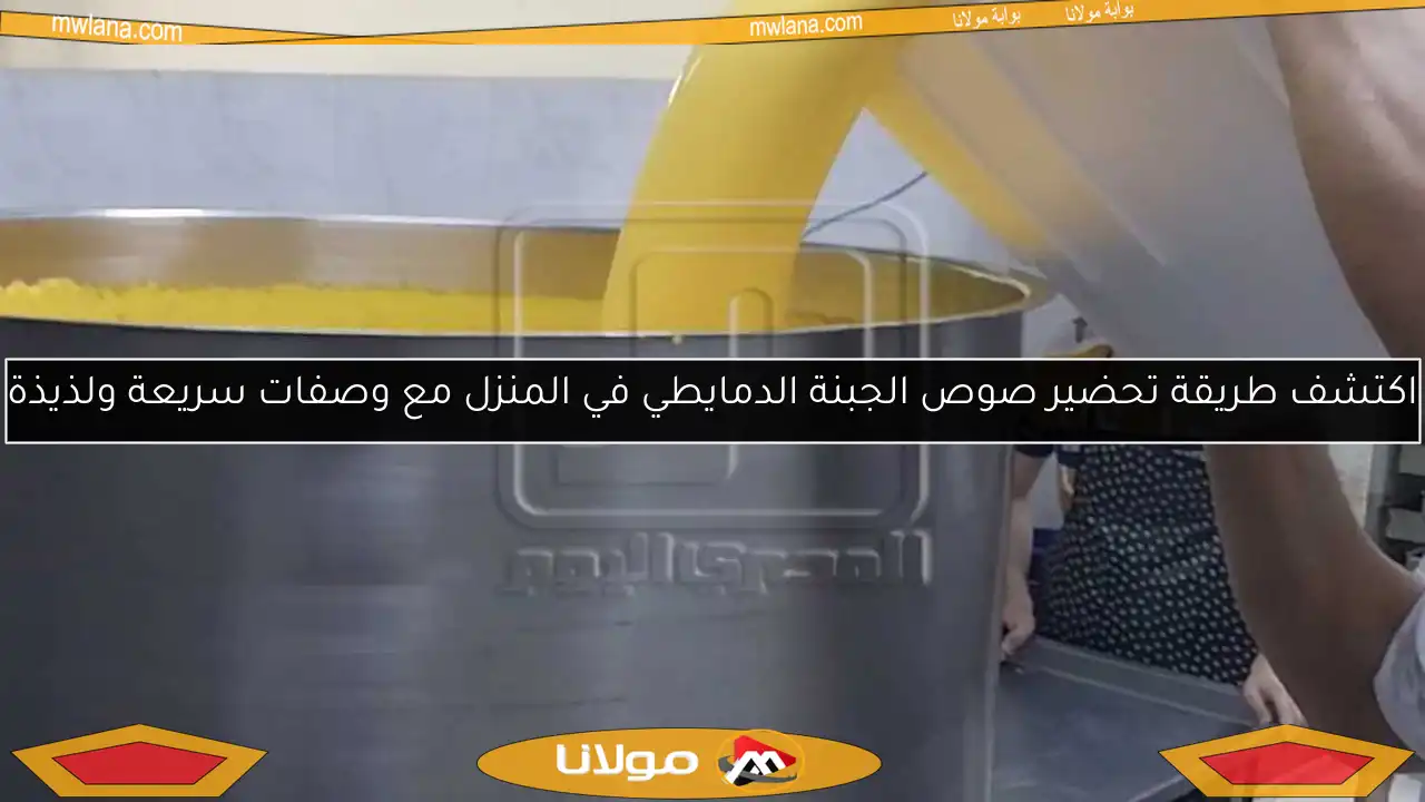 اكتشف طريقة تحضير صوص الجبنة الدمايطي في المنزل مع وصفات سريعة ولذيذة