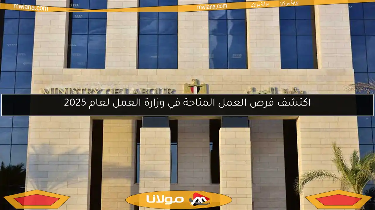اكتشف فرص العمل المتاحة في وزارة العمل لعام 2025