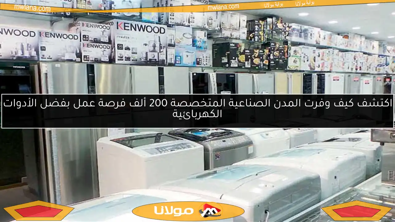 اكتشف كيف وفرت المدن الصناعية المتخصصة 200 ألف فرصة عمل بفضل الأدوات الكهربائية