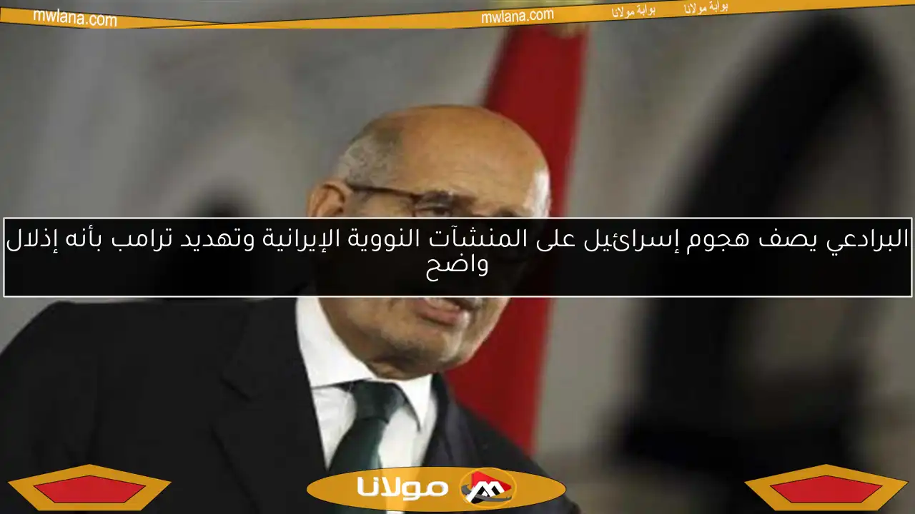 البرادعي يصف هجوم إسرائيل على المنشآت النووية الإيرانية وتهديد ترامب بأنه إذلال واضح