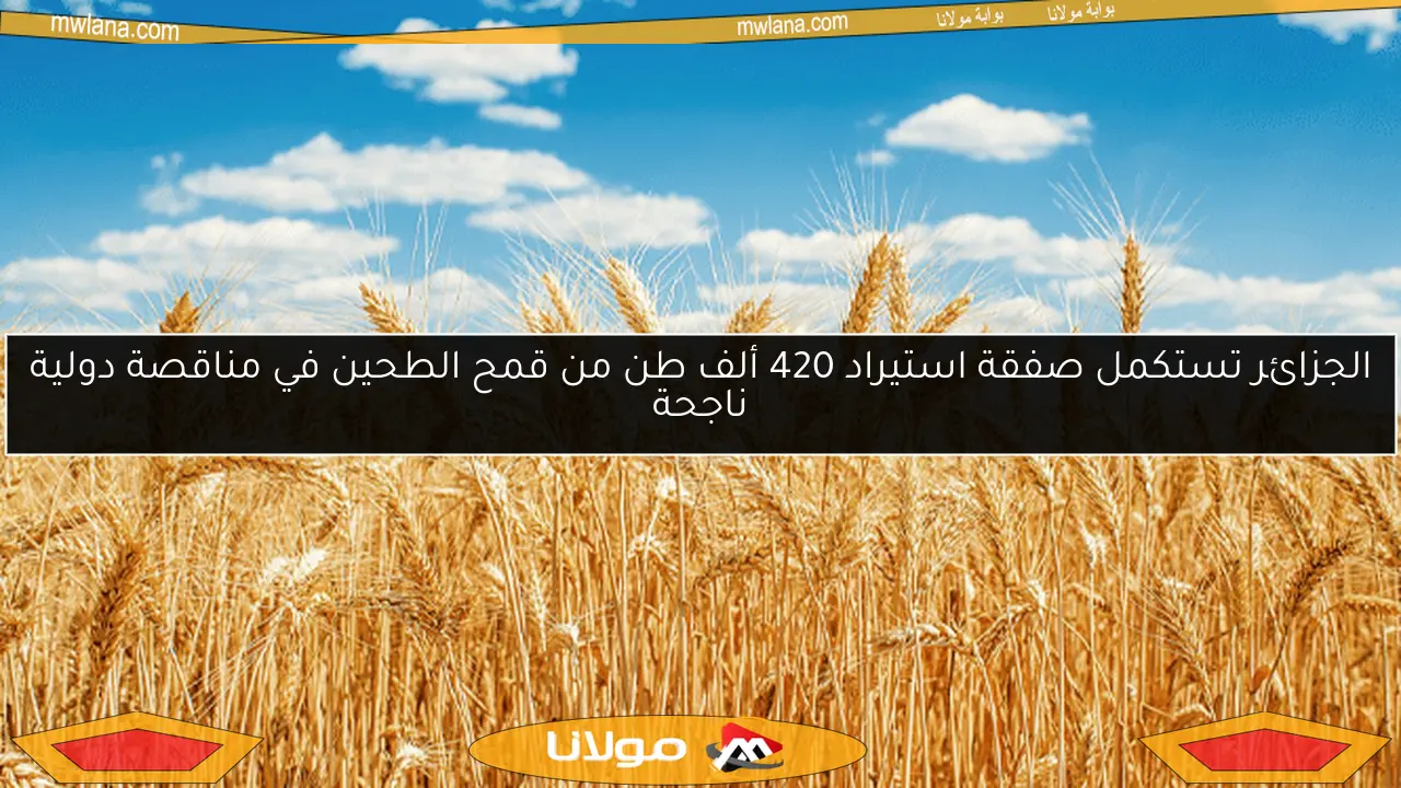 الجزائر تستكمل صفقة استيراد 420 ألف طن من قمح الطحين في مناقصة دولية ناجحة