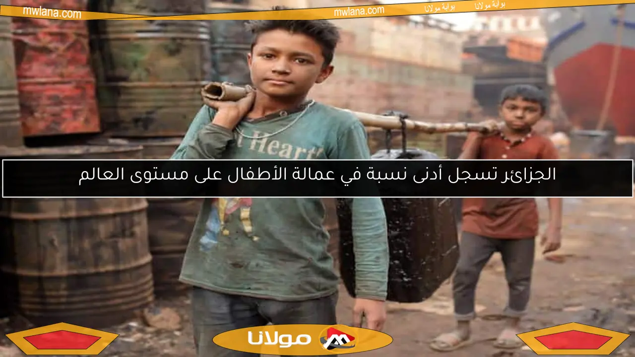 الجزائر تسجل أدنى نسبة في عمالة الأطفال على مستوى العالم