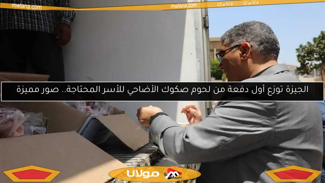 الجيزة توزع أول دفعة من لحوم صكوك الأضاحي للأسر المحتاجة.. صور مميزة