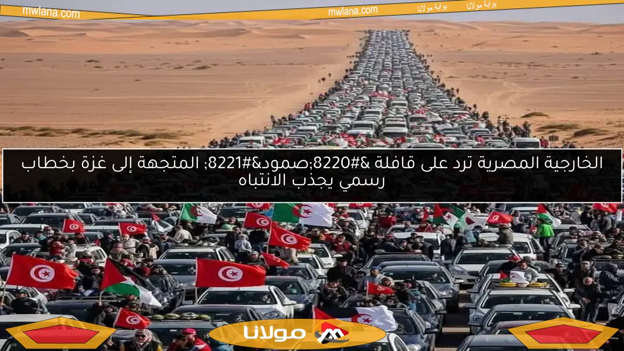 الخارجية المصرية ترد على قافلة “صمود” المتجهة إلى غزة بخطاب رسمي يجذب الانتباه