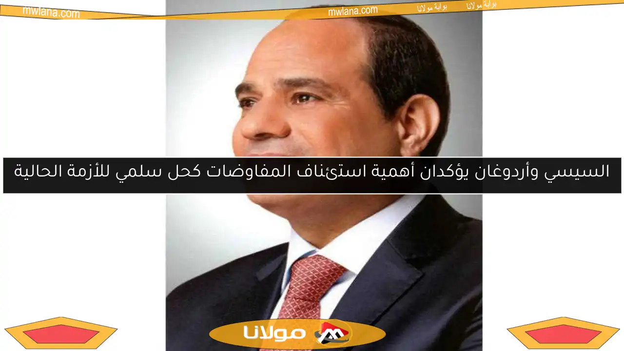 السيسي وأردوغان يؤكدان أهمية استئناف المفاوضات كحل سلمي للأزمة الحالية