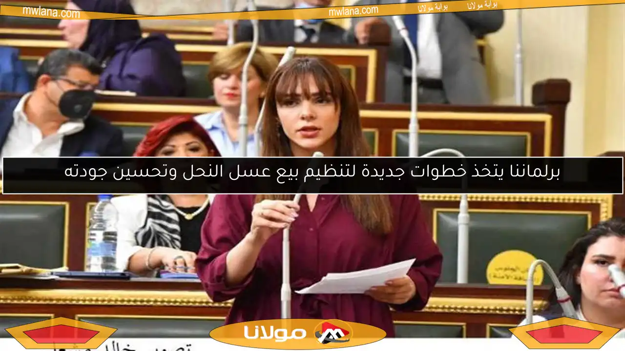 برلماننا يتخذ خطوات جديدة لتنظيم بيع عسل النحل وتحسين جودته