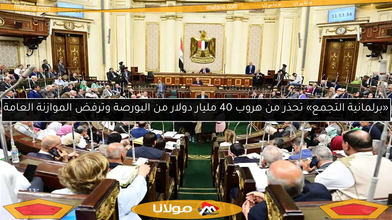 «برلمانية التجمع» تحذر من هروب 40 مليار دولار من البورصة وترفض الموازنة العامة