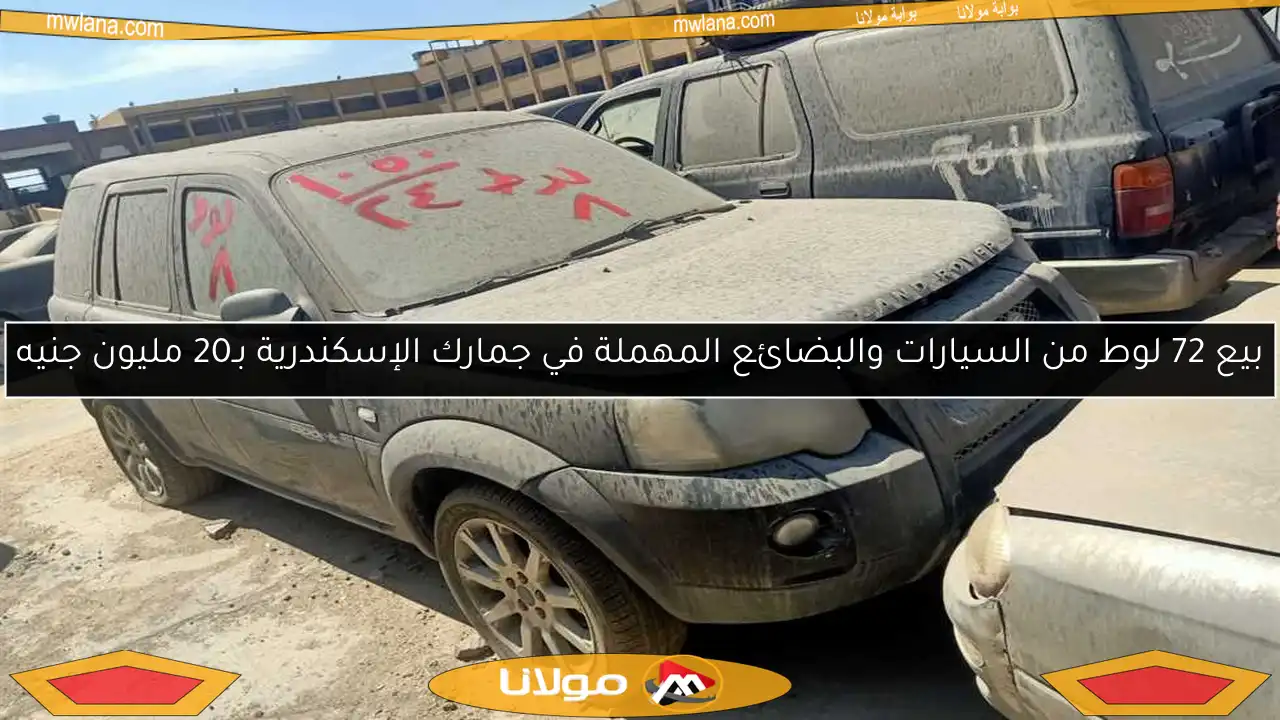 بيع 72 لوط من السيارات والبضائع المهملة في جمارك الإسكندرية بـ20 مليون جنيه