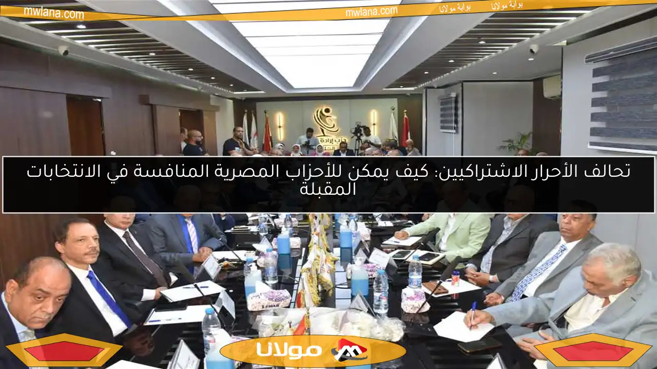 تحالف الأحرار الاشتراكيين: كيف يمكن للأحزاب المصرية المنافسة في الانتخابات المقبلة
