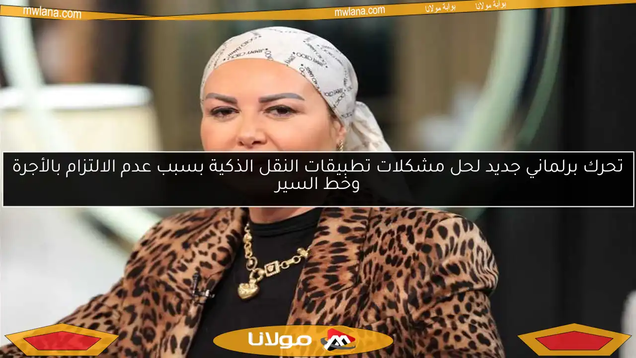 تحرك برلماني جديد لحل مشكلات تطبيقات النقل الذكية بسبب عدم الالتزام بالأجرة وخط السير