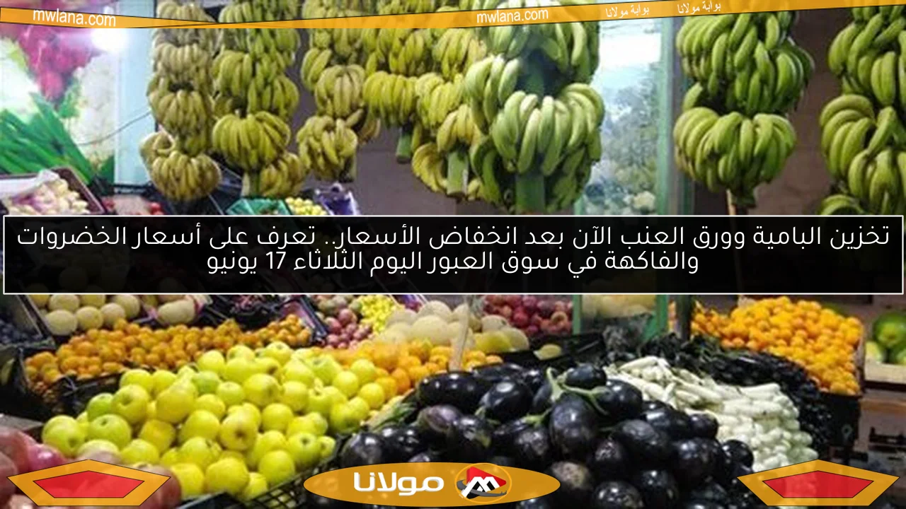تخزين البامية وورق العنب الآن بعد انخفاض الأسعار.. تعرف على أسعار الخضروات والفاكهة في سوق العبور اليوم الثلاثاء 17 يونيو