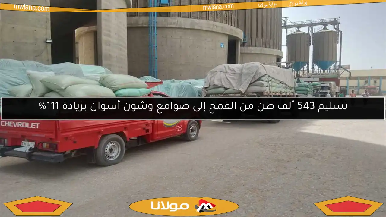 تسليم 543 ألف طن من القمح إلى صوامع وشون أسوان بزيادة 111%