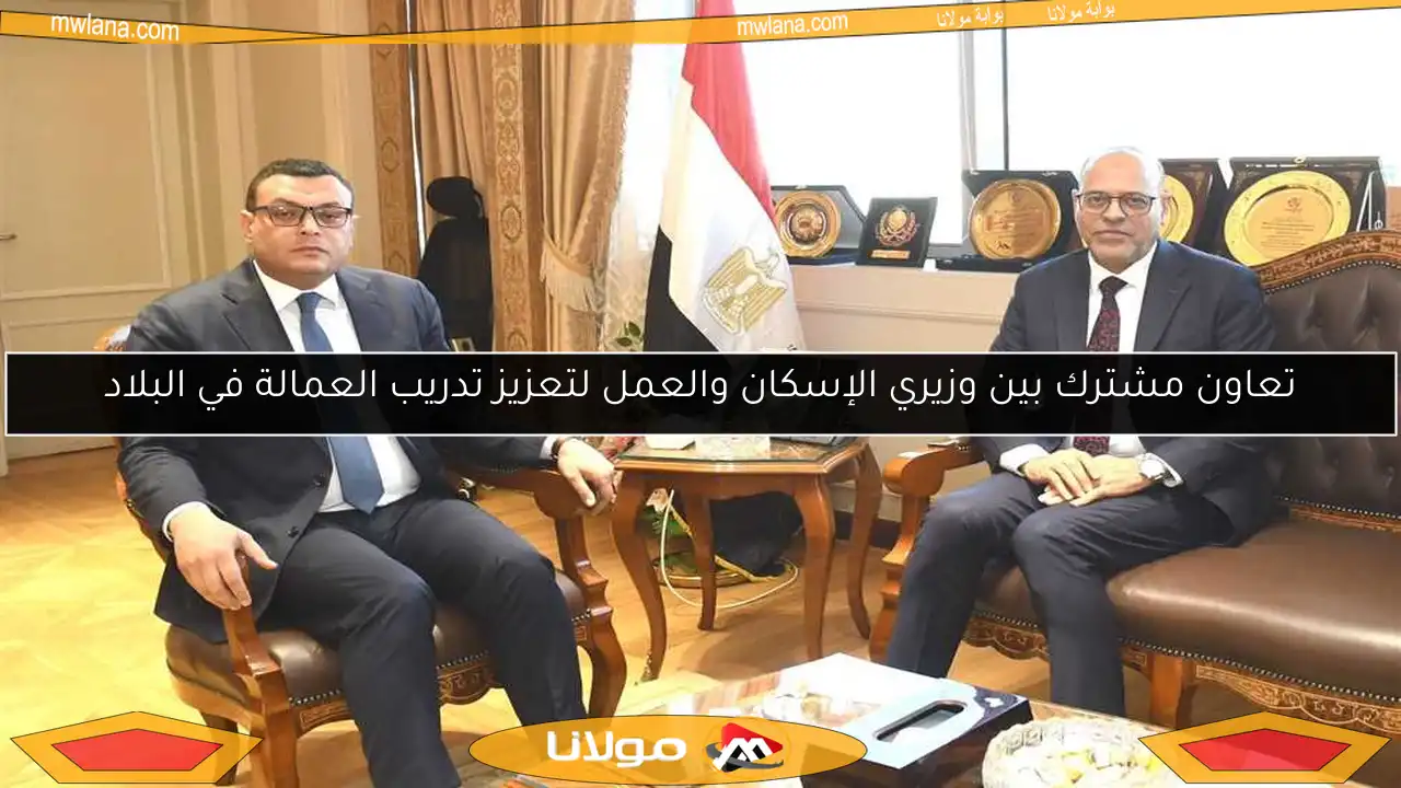 تعاون مشترك بين وزيري الإسكان والعمل لتعزيز تدريب العمالة في البلاد
