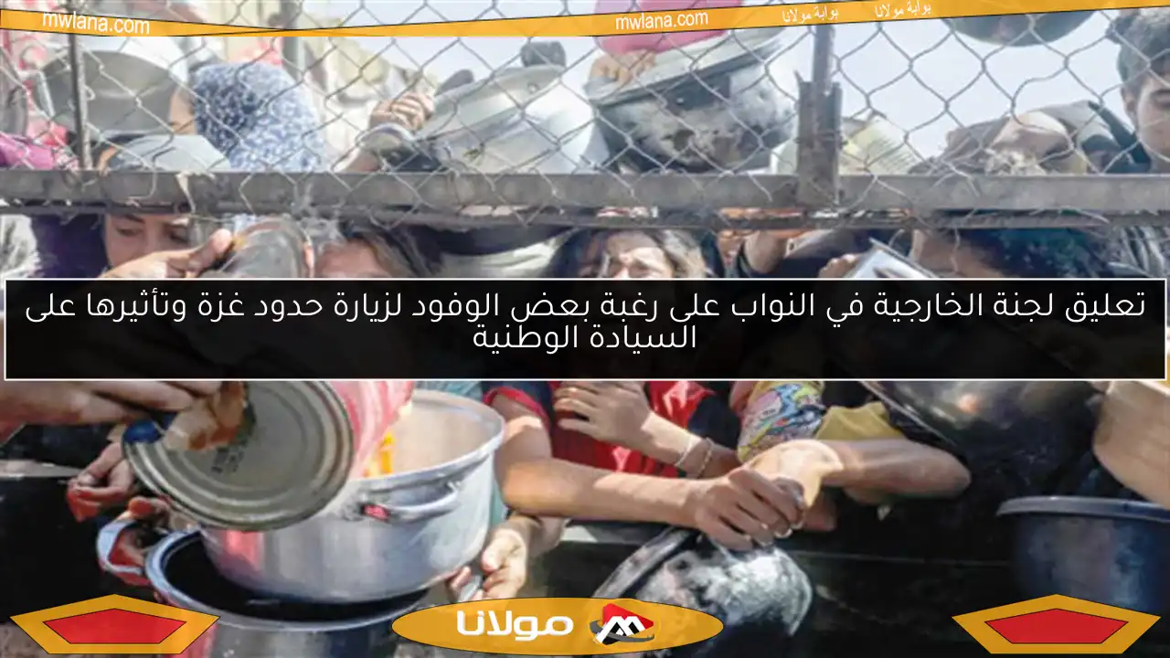 تعليق لجنة الخارجية في النواب على رغبة بعض الوفود لزيارة حدود غزة وتأثيرها على السيادة الوطنية