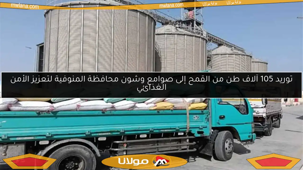 توريد 105 آلاف طن من القمح إلى صوامع وشون محافظة المنوفية لتعزيز الأمن الغذائي