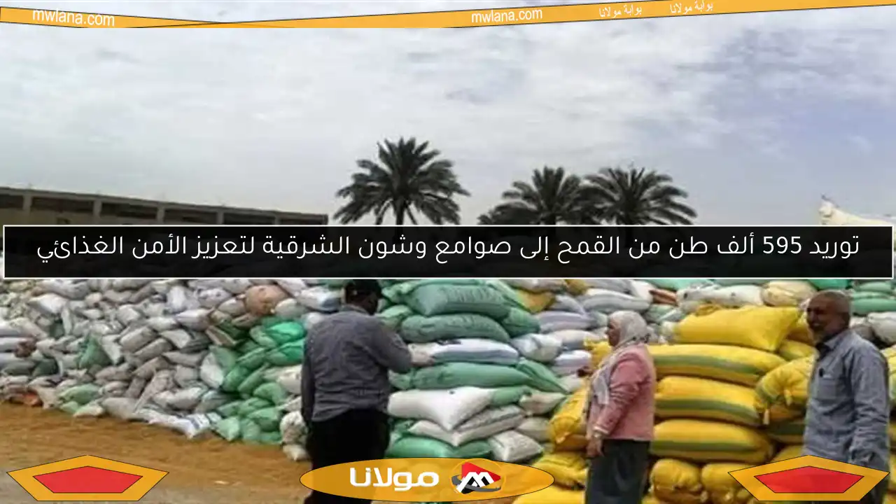 توريد 595 ألف طن من القمح إلى صوامع وشون الشرقية لتعزيز الأمن الغذائي