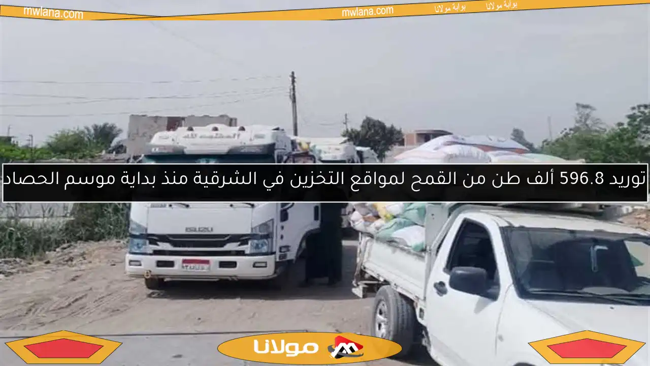 توريد 596.8 ألف طن من القمح لمواقع التخزين في الشرقية منذ بداية موسم الحصاد