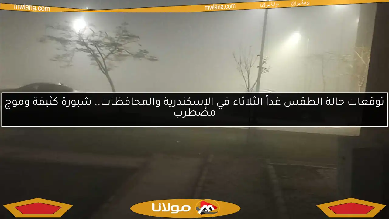 توقعات حالة الطقس غداً الثلاثاء في الإسكندرية والمحافظات.. شبورة كثيفة وموج مضطرب