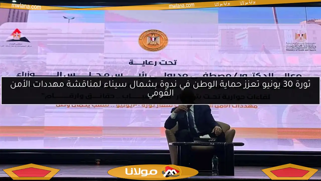 ثورة 30 يونيو تعزز حماية الوطن في ندوة بشمال سيناء لمناقشة مهددات الأمن القومي