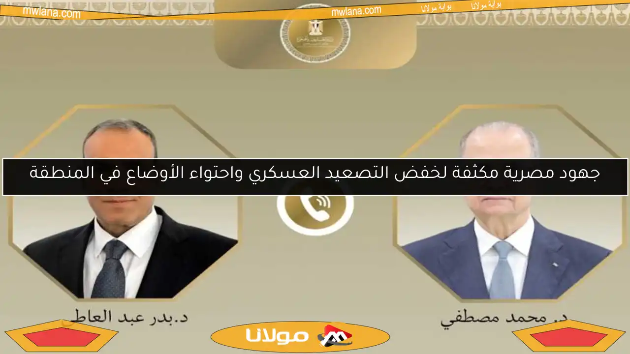 جهود مصرية مكثفة لخفض التصعيد العسكري واحتواء الأوضاع في المنطقة
