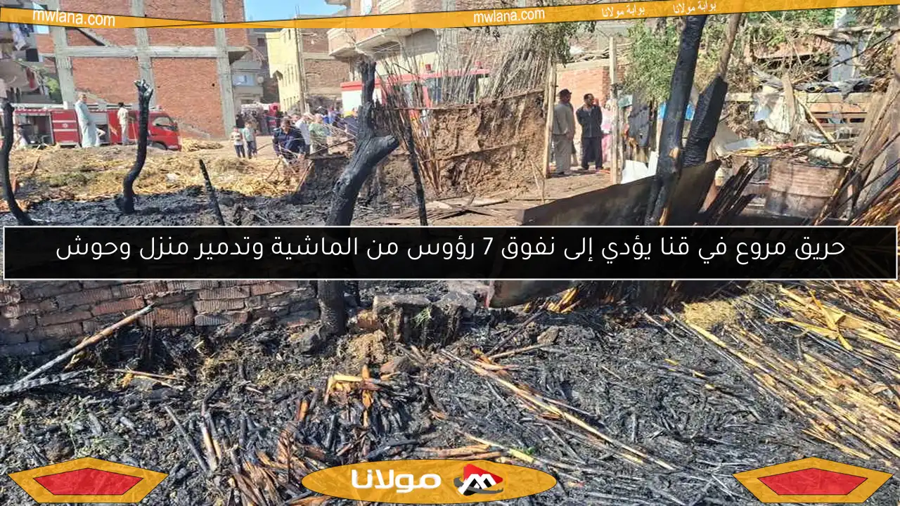 حريق مروع في قنا يؤدي إلى نفوق 7 رؤوس من الماشية وتدمير منزل وحوش