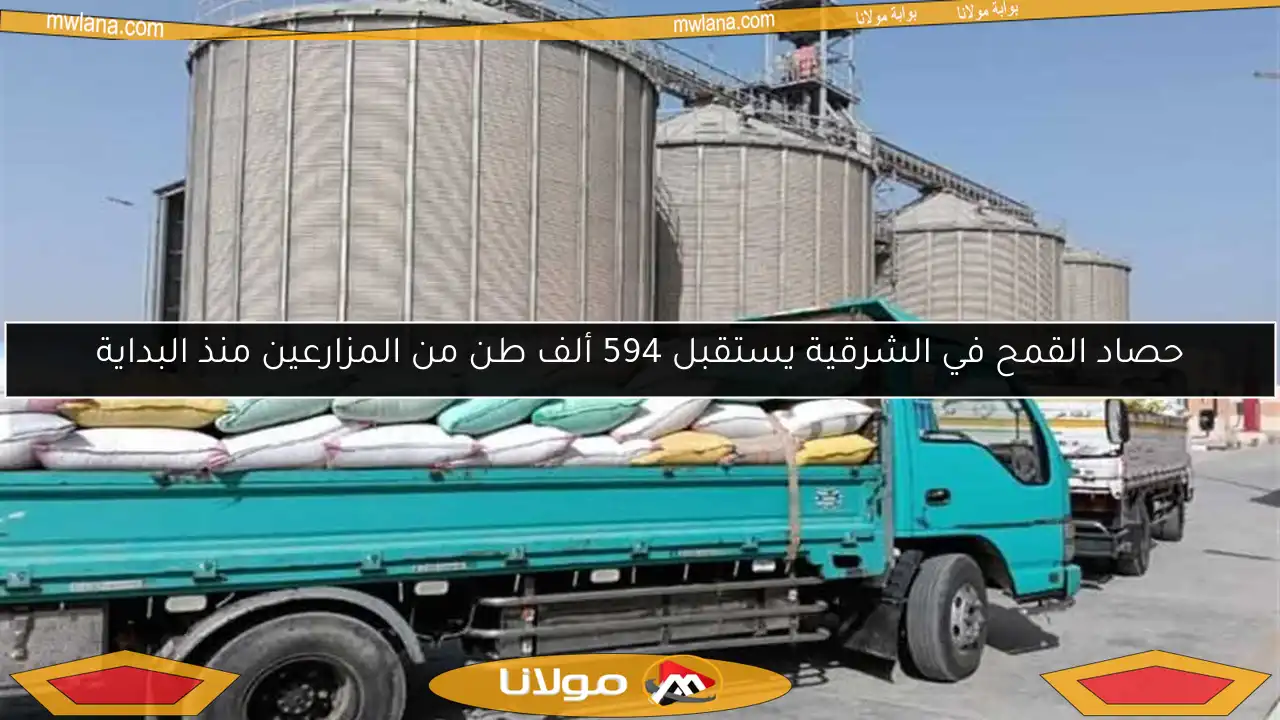 حصاد القمح في الشرقية يستقبل 594 ألف طن من المزارعين منذ البداية
