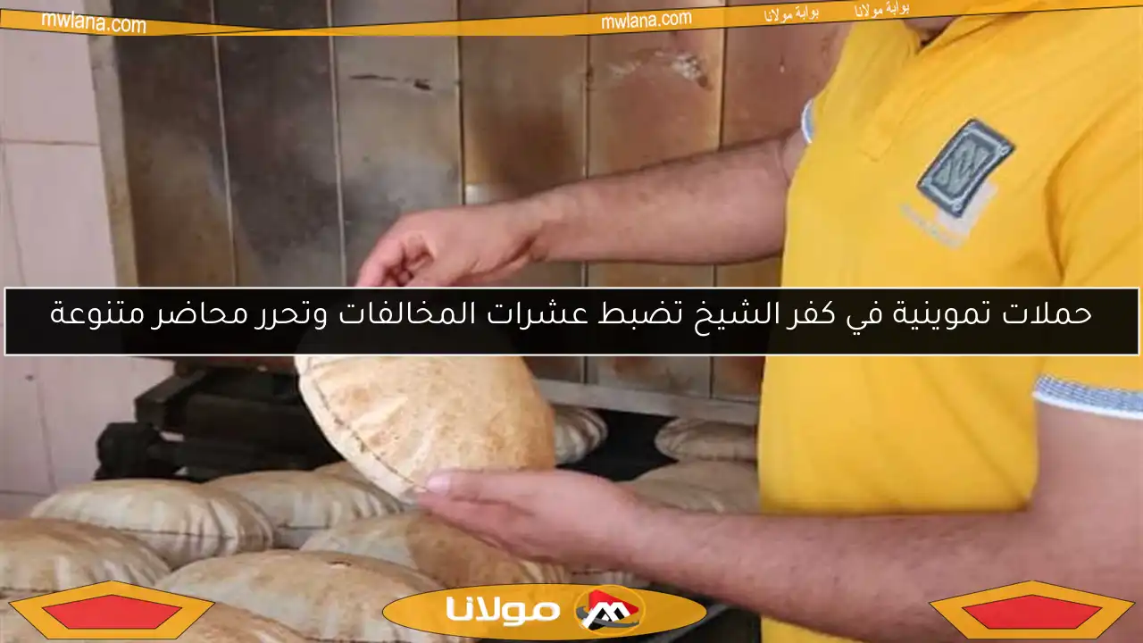 حملات تموينية في كفر الشيخ تضبط عشرات المخالفات وتحرر محاضر متنوعة