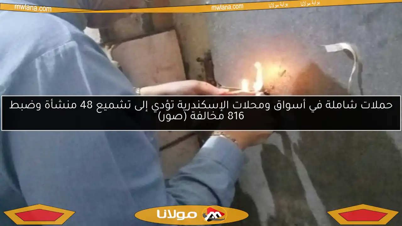 حملات شاملة في أسواق ومحلات الإسكندرية تؤدي إلى تشميع 48 منشأة وضبط 816 مخالفة (صور)