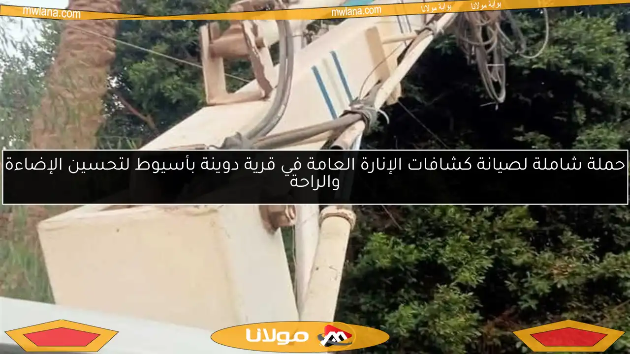 حملة شاملة لصيانة كشافات الإنارة العامة في قرية دوينة بأسيوط لتحسين الإضاءة والراحة