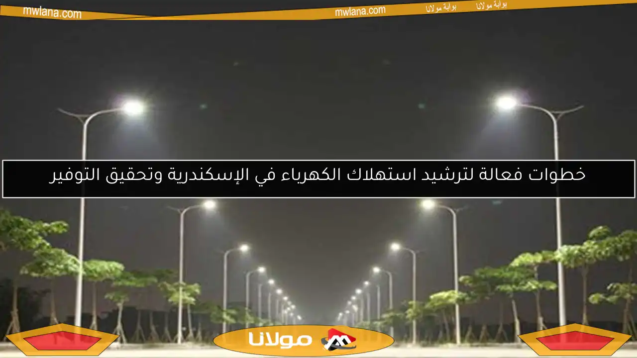 خطوات فعالة لترشيد استهلاك الكهرباء في الإسكندرية وتحقيق التوفير