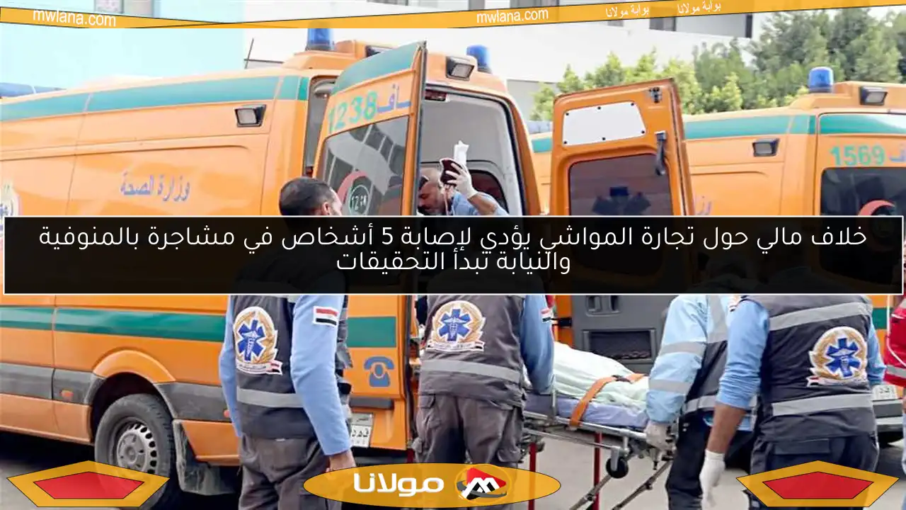 خلاف مالي حول تجارة المواشي يؤدي لإصابة 5 أشخاص في مشاجرة بالمنوفية والنيابة تبدأ التحقيقات