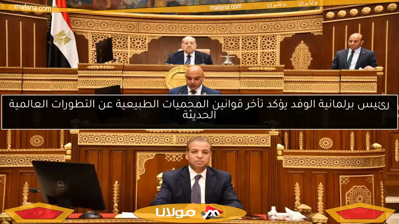 رئيس برلمانية الوفد يؤكد تأخر قوانين المحميات الطبيعية عن التطورات العالمية الحديثة