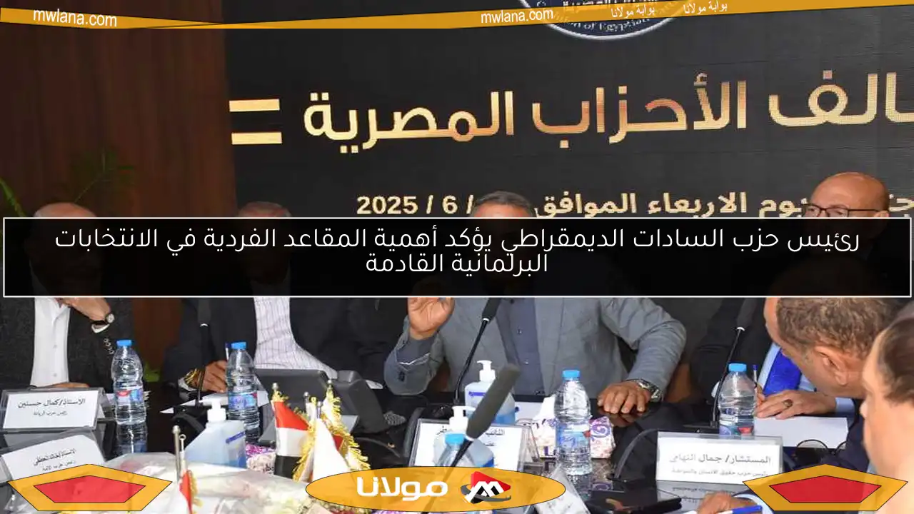 رئيس حزب السادات الديمقراطي يؤكد أهمية المقاعد الفردية في الانتخابات البرلمانية القادمة