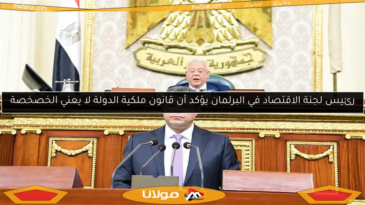 رئيس لجنة الاقتصاد في البرلمان يؤكد أن قانون ملكية الدولة لا يعني الخصخصة
