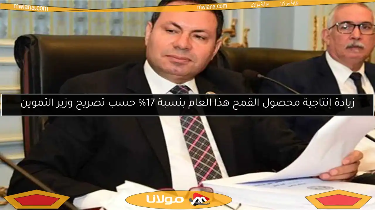 زيادة إنتاجية محصول القمح هذا العام بنسبة 17% حسب تصريح وزير التموين