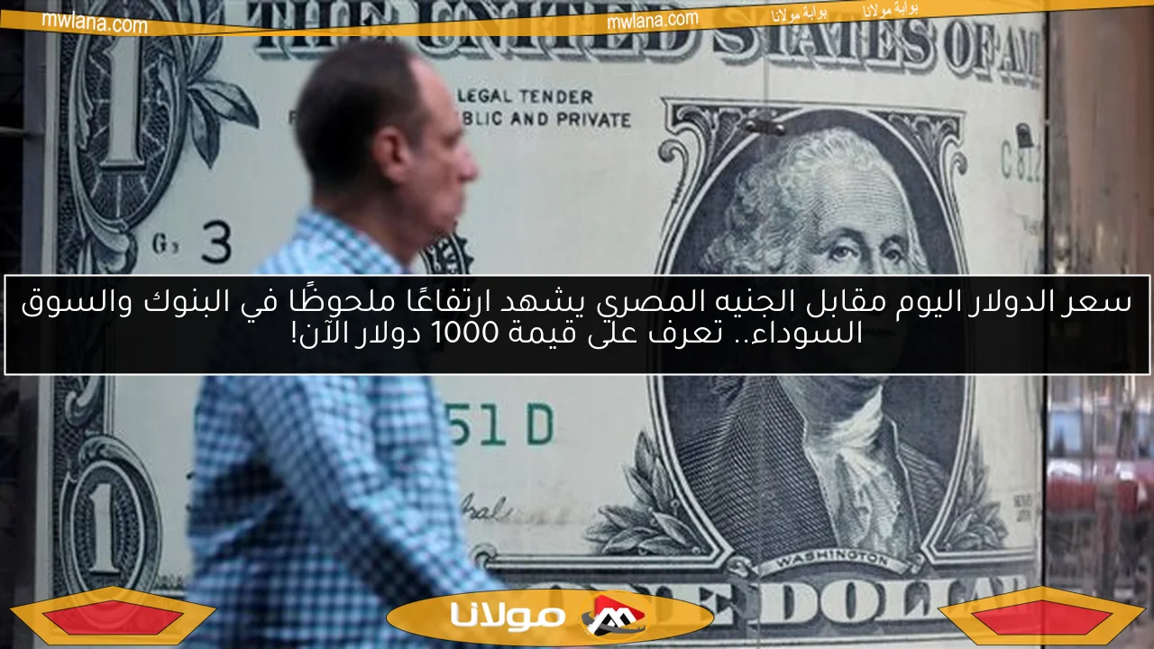 سعر الدولار اليوم مقابل الجنيه المصري يشهد ارتفاعًا ملحوظًا في البنوك والسوق السوداء.. تعرف على قيمة 1000 دولار الآن!