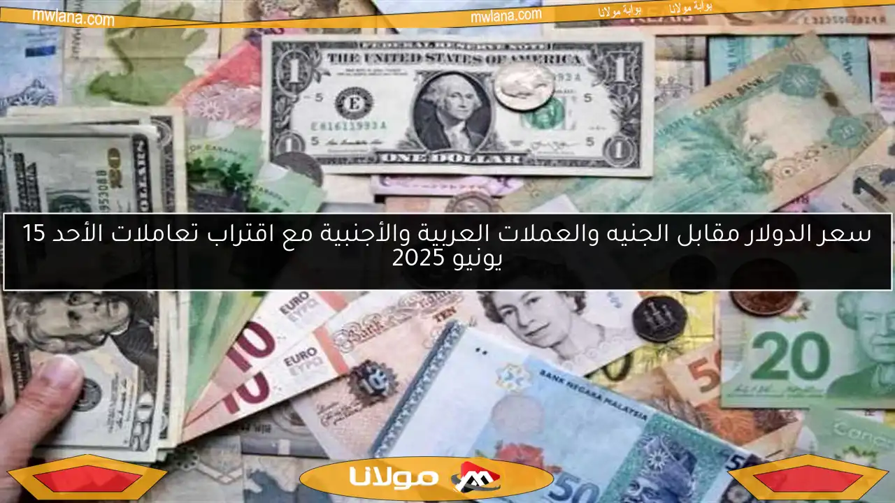 سعر الدولار مقابل الجنيه والعملات العربية والأجنبية مع اقتراب تعاملات الأحد 15 يونيو 2025
