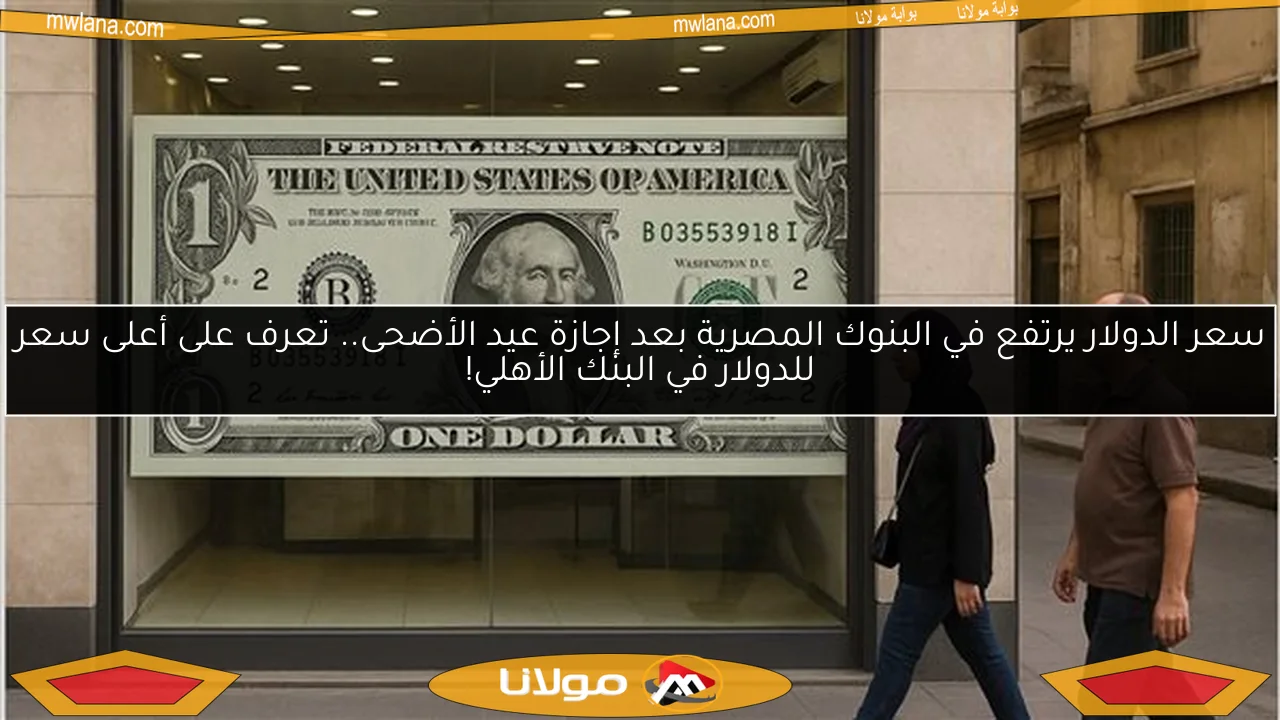 سعر الدولار يرتفع في البنوك المصرية بعد إجازة عيد الأضحى.. تعرف على أعلى سعر للدولار في البنك الأهلي!