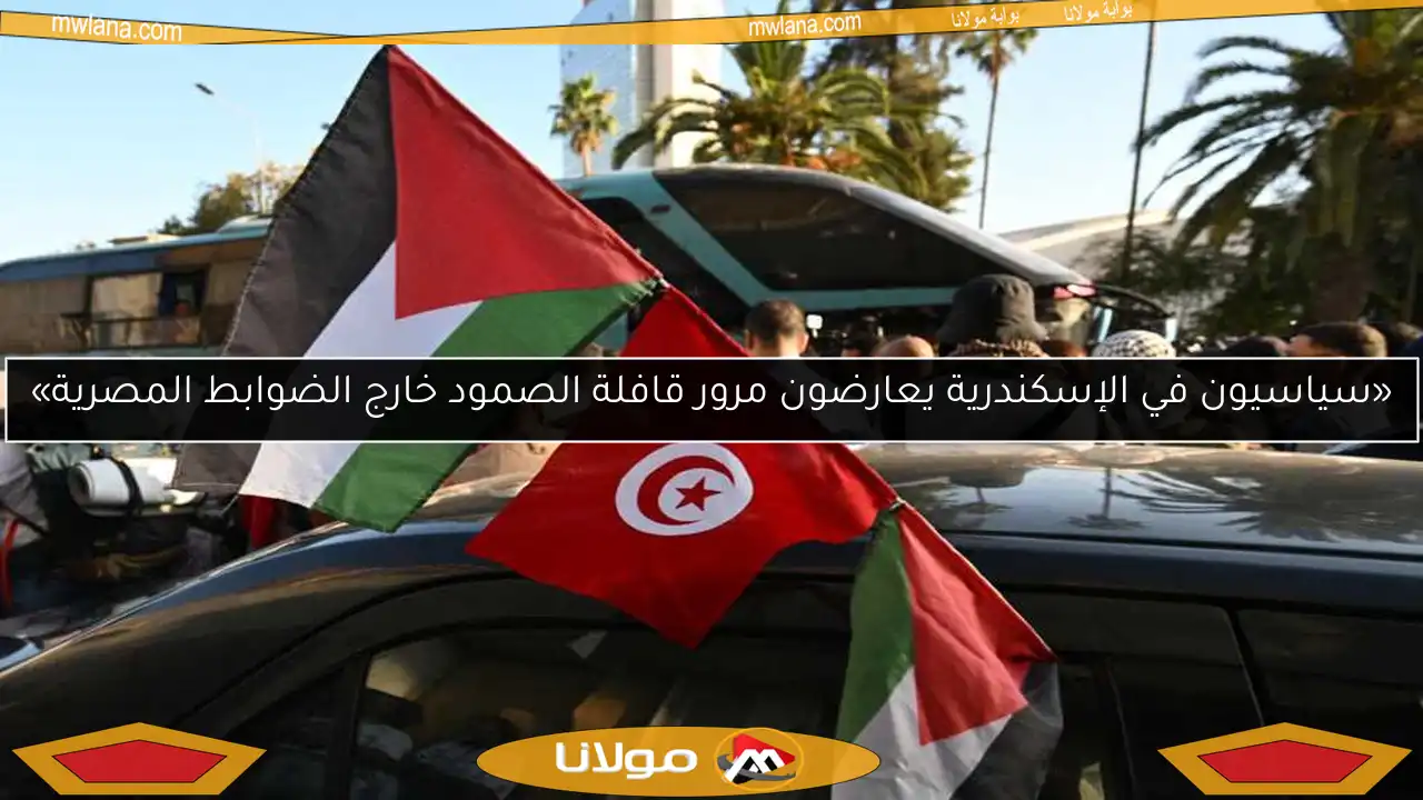 «سياسيون في الإسكندرية يعارضون مرور قافلة الصمود خارج الضوابط المصرية»