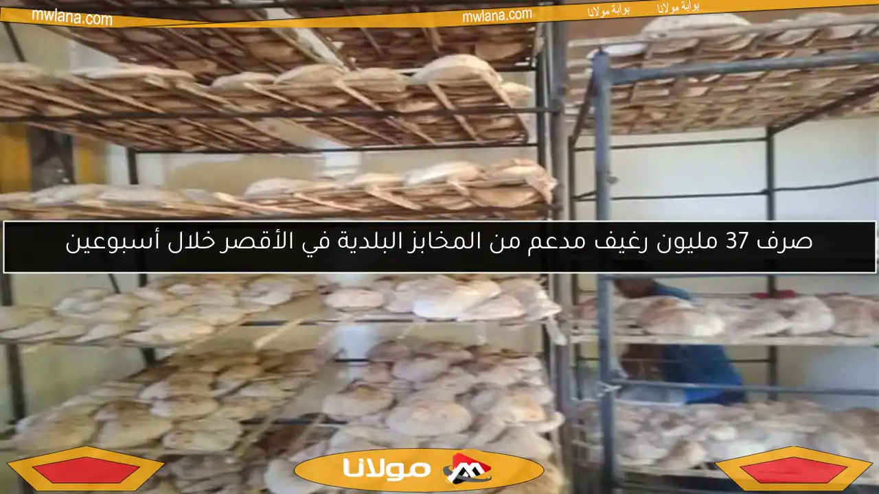 صرف 37 مليون رغيف مدعم من المخابز البلدية في الأقصر خلال أسبوعين