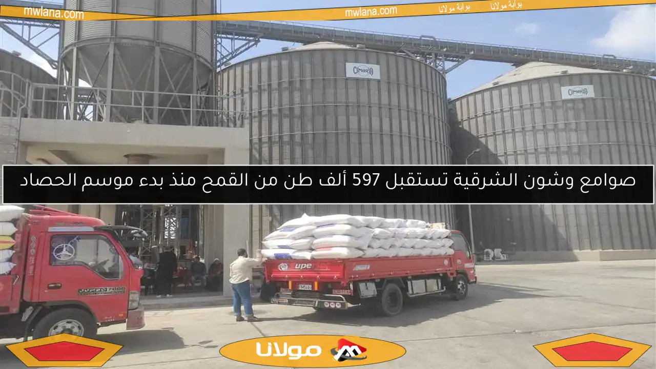 صوامع وشون الشرقية تستقبل 597 ألف طن من القمح منذ بدء موسم الحصاد