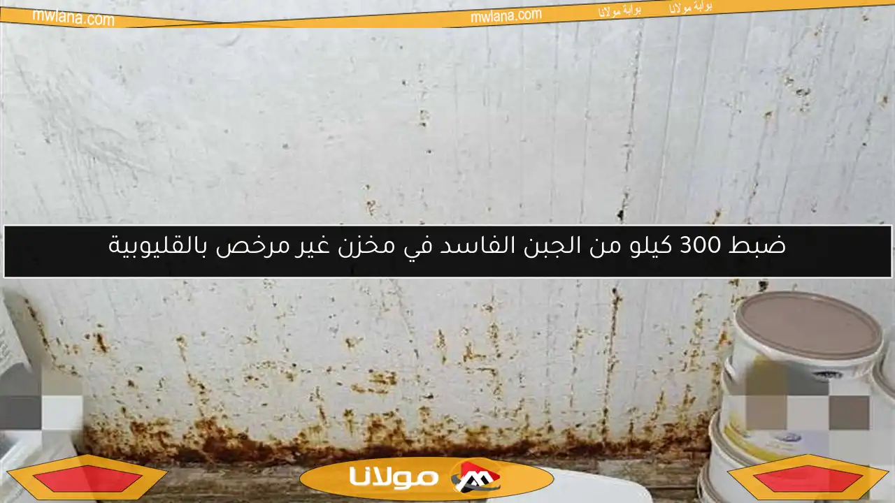 ضبط 300 كيلو من الجبن الفاسد في مخزن غير مرخص بالقليوبية