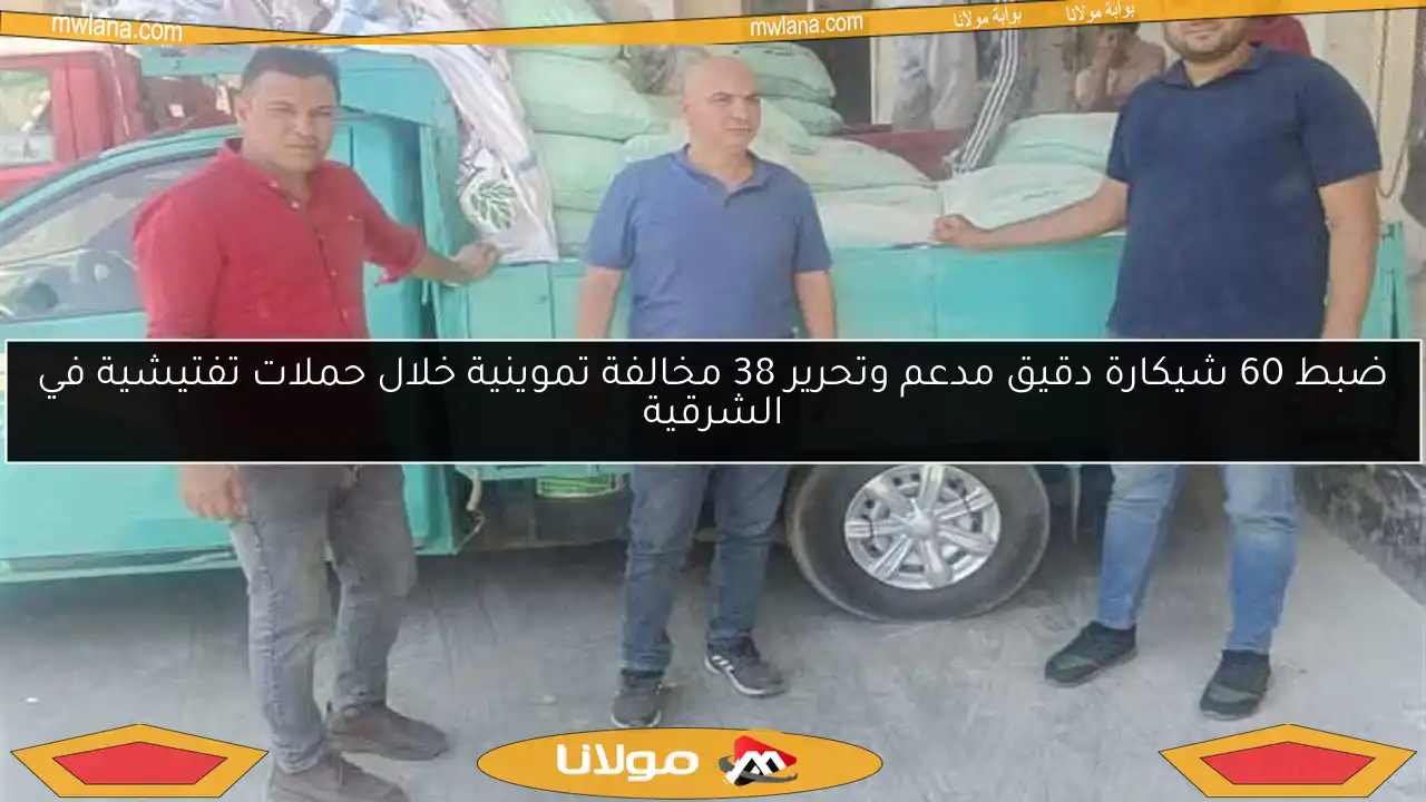 ضبط 60 شيكارة دقيق مدعم وتحرير 38 مخالفة تموينية خلال حملات تفتيشية في الشرقية
