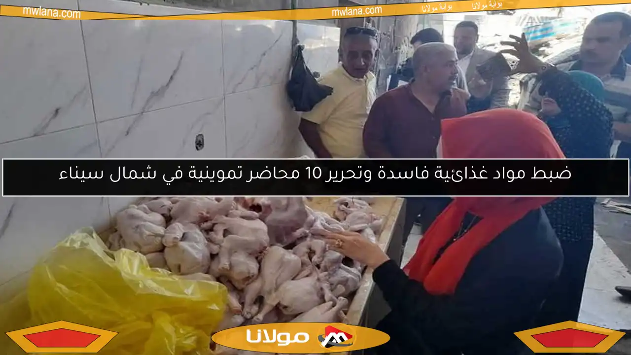 ضبط مواد غذائية فاسدة وتحرير 10 محاضر تموينية في شمال سيناء