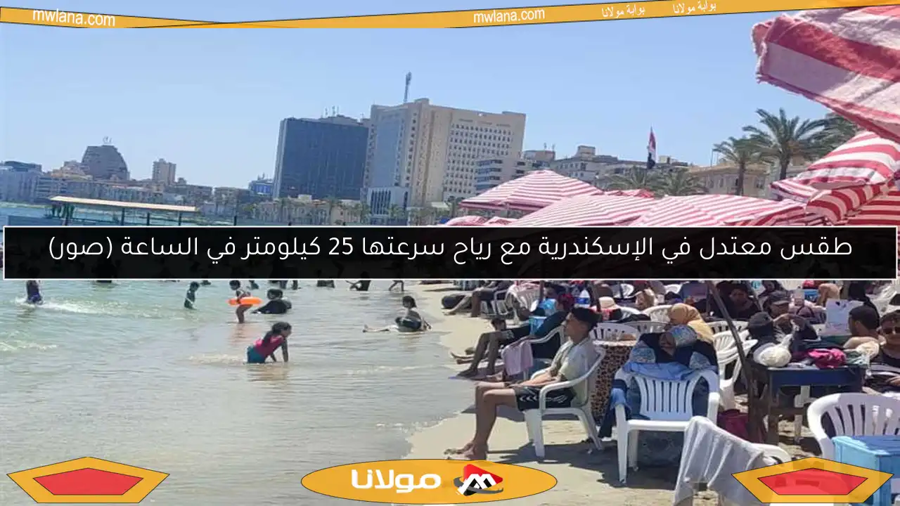 طقس معتدل في الإسكندرية مع رياح سرعتها 25 كيلومتر في الساعة (صور)